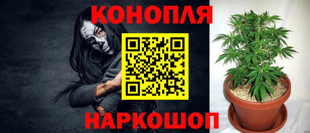 Канабис OG Kush Кашира